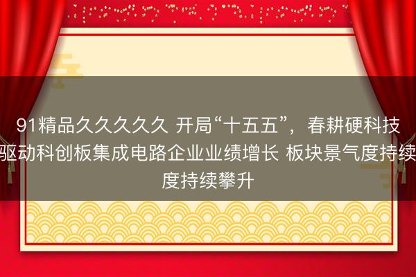 91精品久久久久久 开局“十五五”，春耕硬科技丨AI驱动科创板集成电路企业业绩增长 板块景气度持续攀升