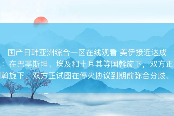 国产日韩亚洲综合一区在线观看 美伊接近达成结束冲突的框架性协议：在巴基斯坦、埃及和土耳其等国斡旋下，双方正试图在停火协议到期前弥合分歧、达成协议