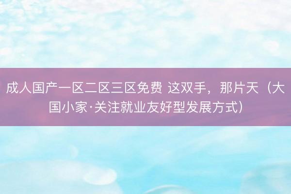 成人国产一区二区三区免费 这双手，那片天（大国小家·关注就业友好型发展方式）