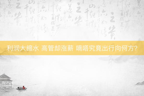 利润大缩水 高管却涨薪 嘀嗒究竟出行向何方？