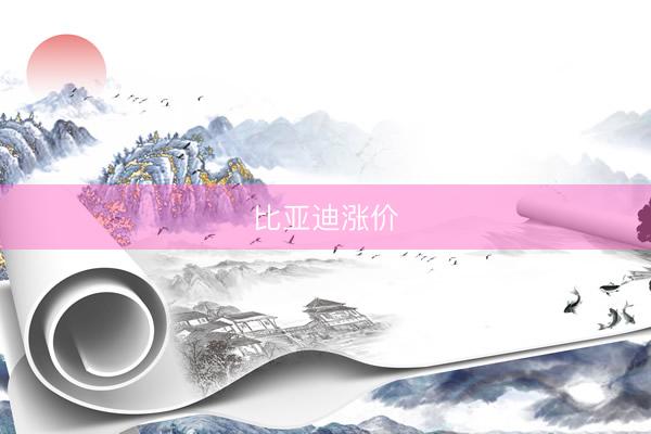 比亚迪涨价