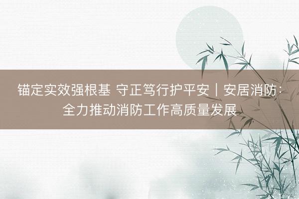 锚定实效强根基 守正笃行护平安｜安居消防：全力推动消防工作高质量发展