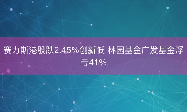 赛力斯港股跌2.45%创新低 林园基金广发基金浮亏41%