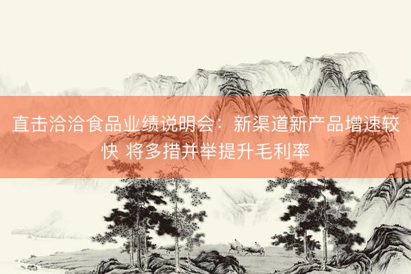 直击洽洽食品业绩说明会：新渠道新产品增速较快 将多措并举提升毛利率
