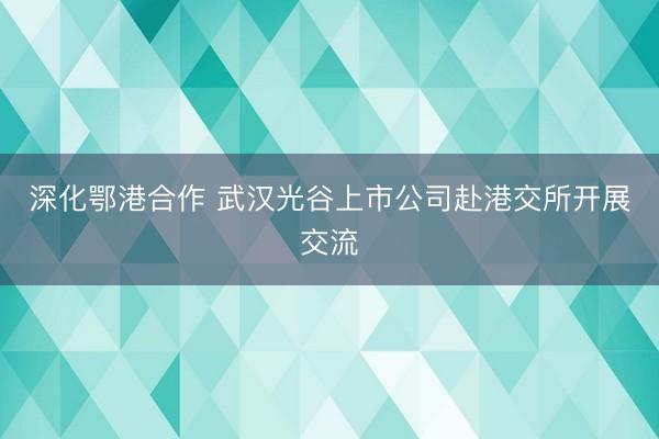 深化鄂港合作 武汉光谷上市公司赴港交所开展交流