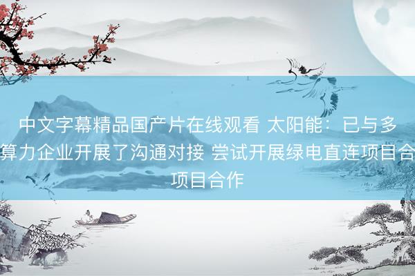 中文字幕精品国产片在线观看 太阳能：已与多家算力企业开展了沟通对接 尝试开展绿电直连项目合作
