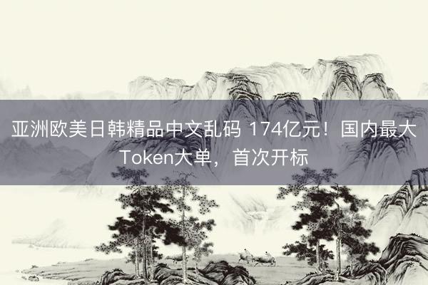 亚洲欧美日韩精品中文乱码 174亿元！国内最大Token大单，首次开标