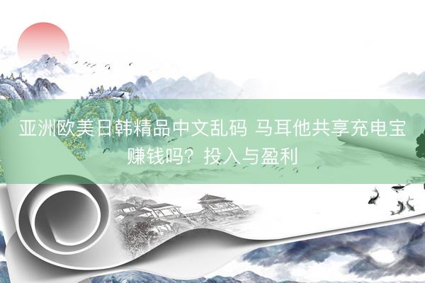 亚洲欧美日韩精品中文乱码 马耳他共享充电宝赚钱吗？投入与盈利