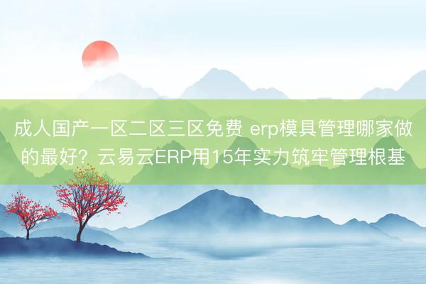 成人国产一区二区三区免费 erp模具管理哪家做的最好？云易云ERP用15年实力筑牢管理根基