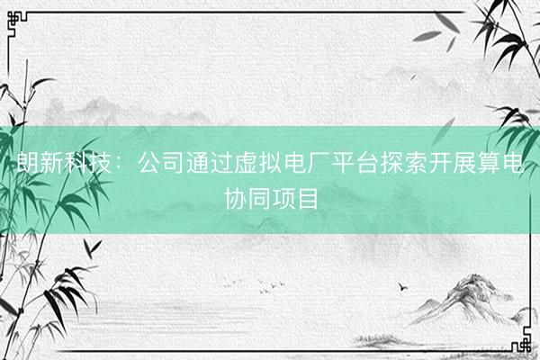 朗新科技：公司通过虚拟电厂平台探索开展算电协同项目
