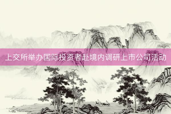 上交所举办国际投资者赴境内调研上市公司活动