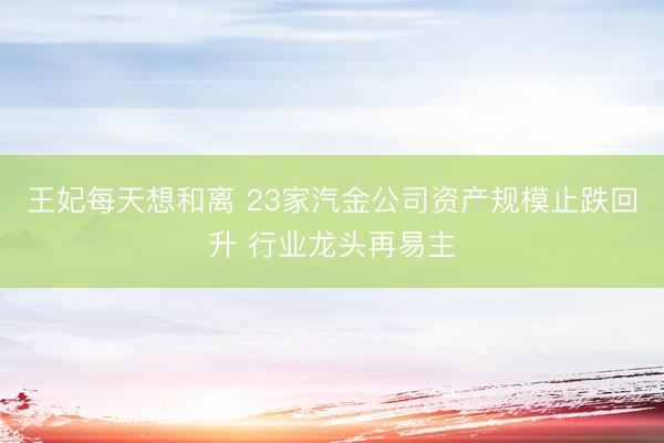 王妃每天想和离 23家汽金公司资产规模止跌回升 行业龙头再易主