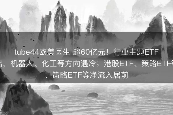 tube44欧美医生 超60亿元！行业主题ETF遭资金净流出，机器人、化工等方向遇冷；港股ETF、策略ETF等净流入居前