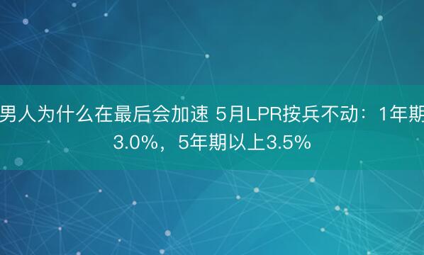 男人为什么在最后会加速 5月LPR按兵不动：1年期3.0%，5年期以上3.5%