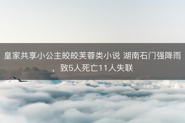 皇家共享小公主皎皎芙蓉类小说 湖南石门强降雨，致5人死亡11人失联