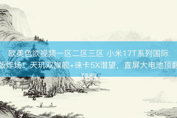 欧美色欲视频一区二区三区 小米17T系列国际版炸场！天玑双旗舰+徕卡5X潜望，直屏大电池顶翻