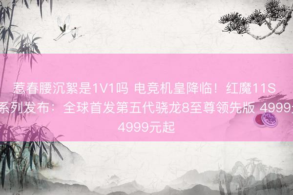 惹春腰沉絮是1V1吗 电竞机皇降临！红魔11S Pro系列发布：全球首发第五代骁龙8至尊领先版 4999元起