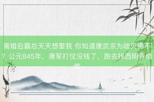 离婚后霸总天天想娶我 你知道唐武宗为啥灭佛不？公元845年，唐军打仗没钱了，跑去找西明寺借