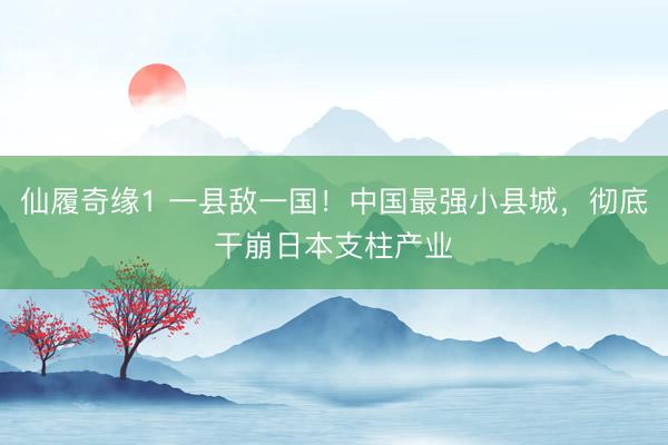 仙履奇缘1 一县敌一国！中国最强小县城，彻底干崩日本支柱产业