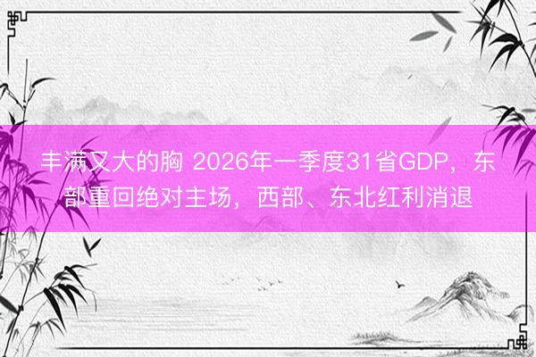 丰满又大的胸 2026年一季度31省GDP，东部重回绝对主场，西部、东北红利消退