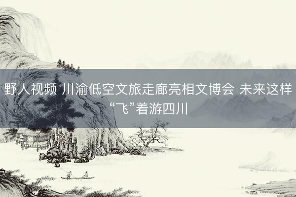 野人视频 川渝低空文旅走廊亮相文博会 未来这样“飞”着游四川
