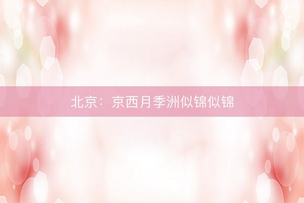 北京：京西月季洲似锦似锦