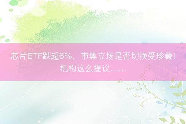 芯片ETF跌超6%，市集立场是否切换受珍藏！机构这么提议……