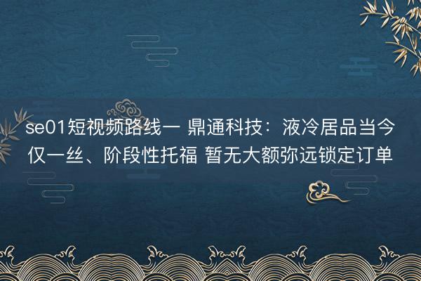 se01短视频路线一 鼎通科技：液冷居品当今仅一丝、阶段性托福 暂无大额弥远锁定订单