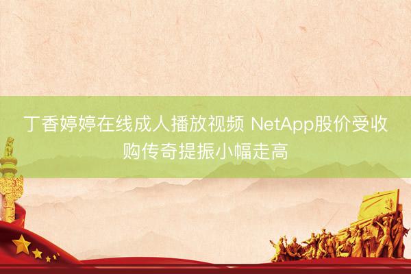 丁香婷婷在线成人播放视频 NetApp股价受收购传奇提振小幅走高