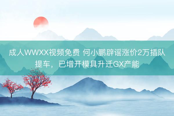 成人WWXX视频免费 何小鹏辟谣涨价2万插队提车，已增开模具升迁GX产能