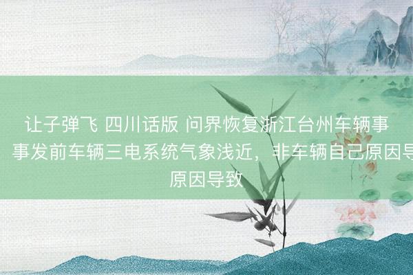 让子弹飞 四川话版 问界恢复浙江台州车辆事故：事发前车辆三电系统气象浅近，非车辆自己原因导致
