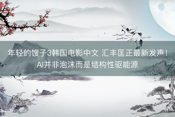 年轻的馊子3韩国电影中文 汇丰匡正最新发声!AI并非泡沫而是结构性驱能源