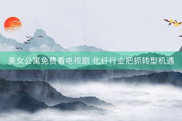 美女公寓免费看电视剧 化纤行业把抓转型机遇