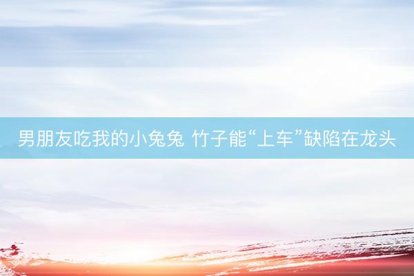 男朋友吃我的小兔兔 竹子能“上车”缺陷在龙头