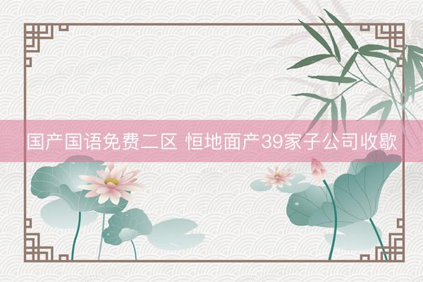 国产国语免费二区 恒地面产39家子公司收歇