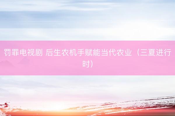 罚罪电视剧 后生农机手赋能当代农业（三夏进行时）
