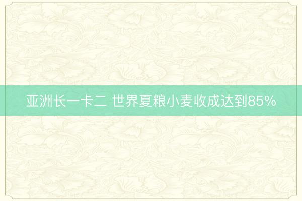 亚洲长一卡二 世界夏粮小麦收成达到85%