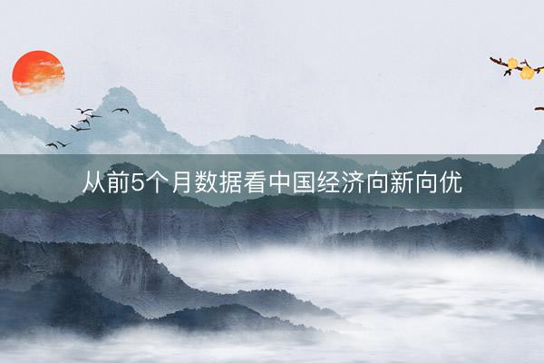 从前5个月数据看中国经济向新向优