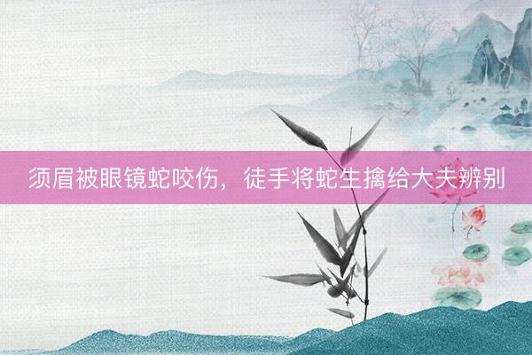 须眉被眼镜蛇咬伤，徒手将蛇生擒给大夫辨别