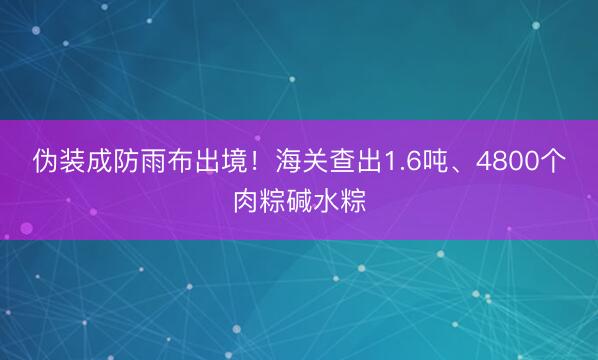 伪装成防雨布出境！海关查出1.6吨、4800个肉粽碱水粽